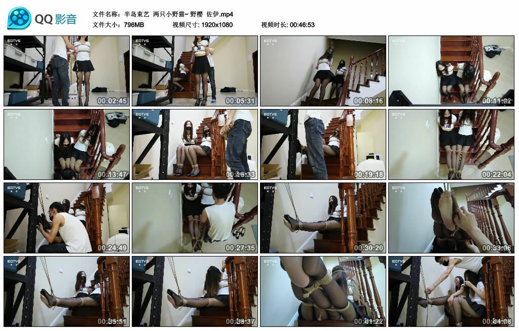 【半岛束艺】两只小野猫~野樱佐伊-BD绳艺资源