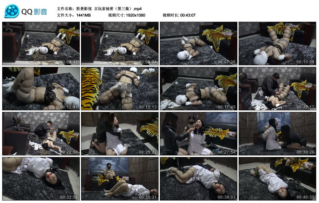 【胜景影视】古玩家秘密（第三集）-BD绳艺资源