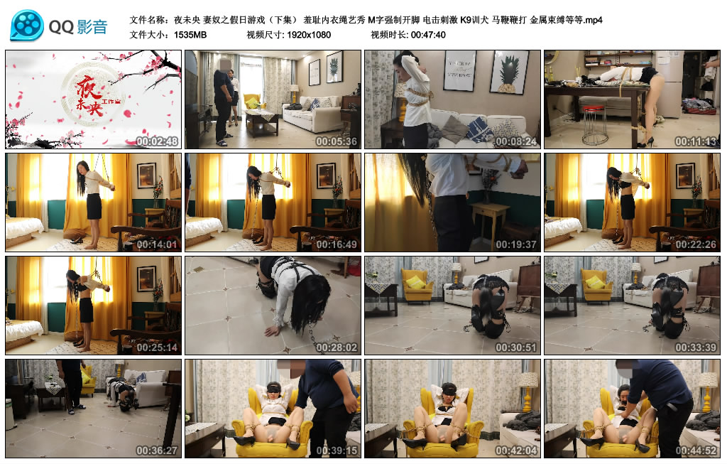 夜未央妻奴之假日游戏（下集）羞耻内衣绳艺秀M字强制开脚电击刺激K9训犬马鞭鞭打金属束缚-BD绳艺资源