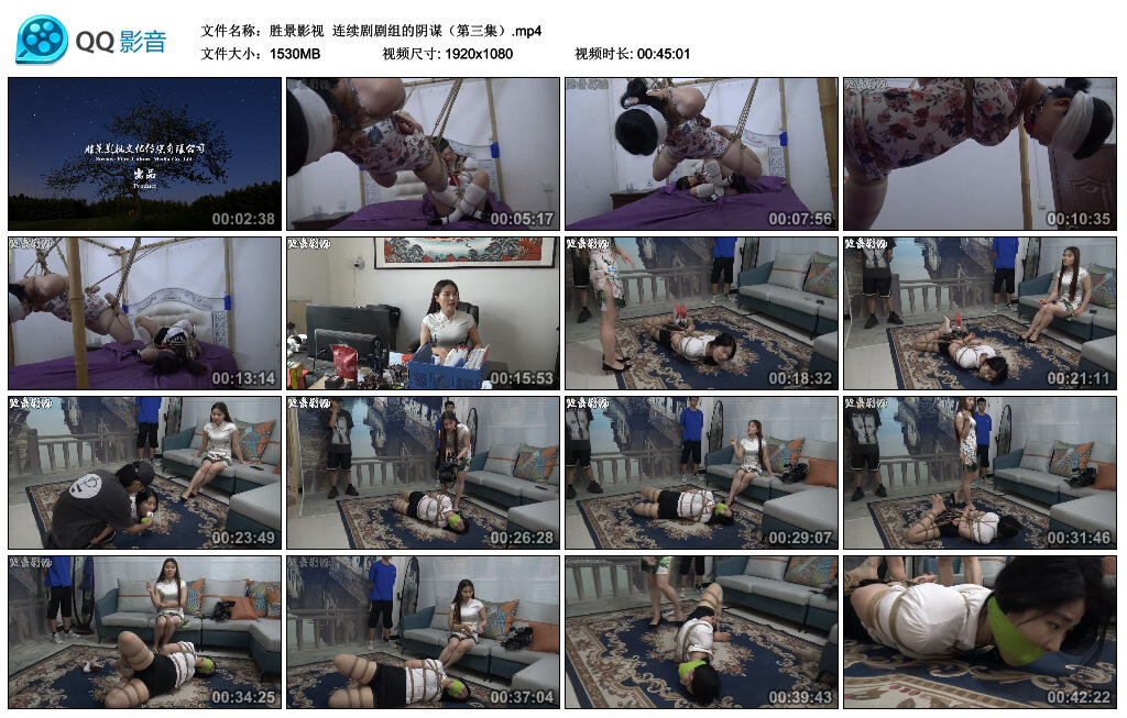 【胜景影视】连续剧剧组的阴谋（第三集）-BD绳艺资源