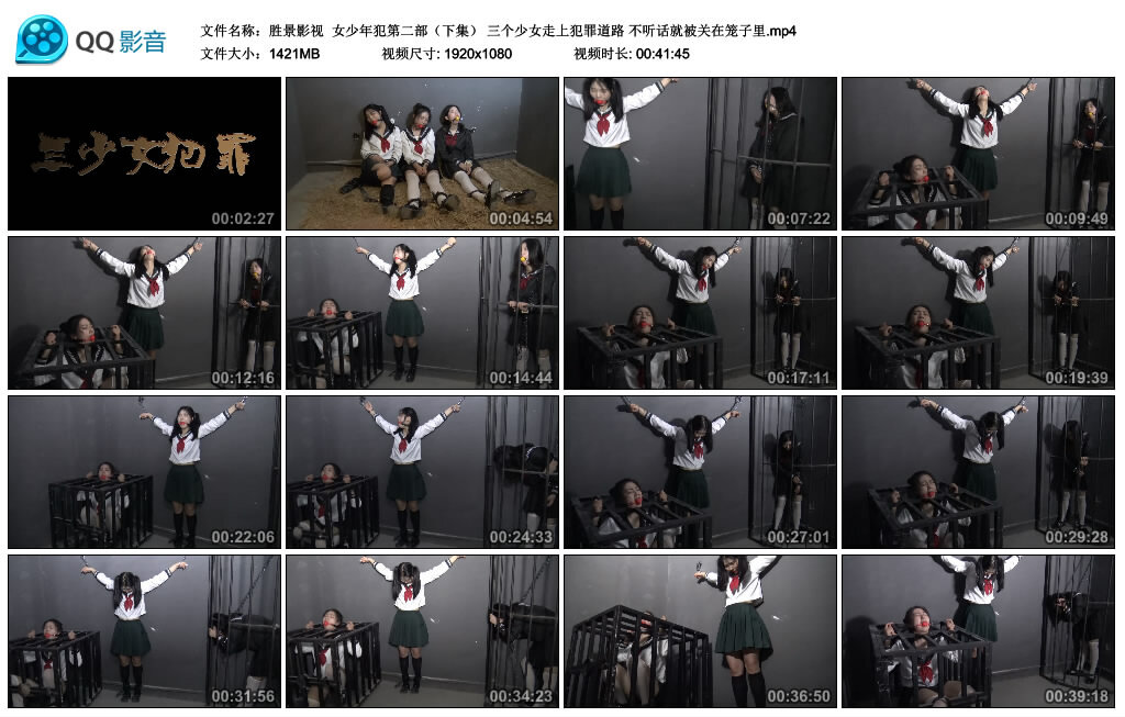 【胜景影视】女少年犯第二部（下集）-BD绳艺资源