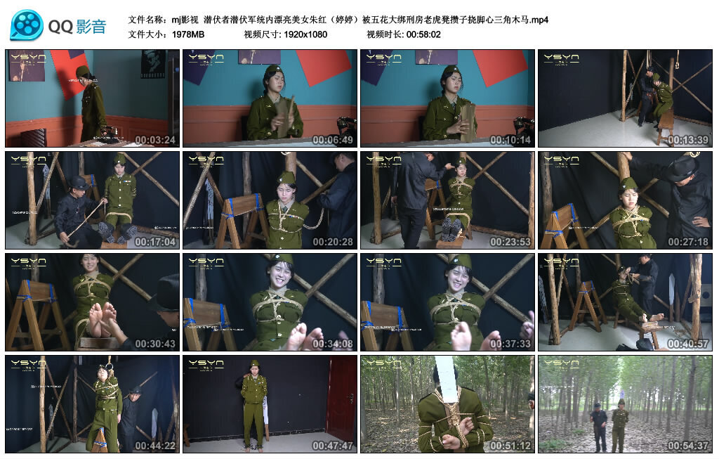 【mj影视】潜伏者-BD绳艺资源