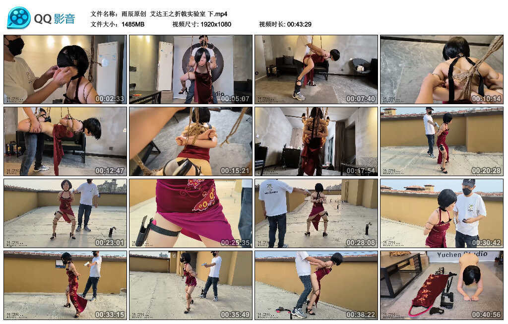 【雨辰原创】艾达王之折戟实验室下-BD绳艺资源