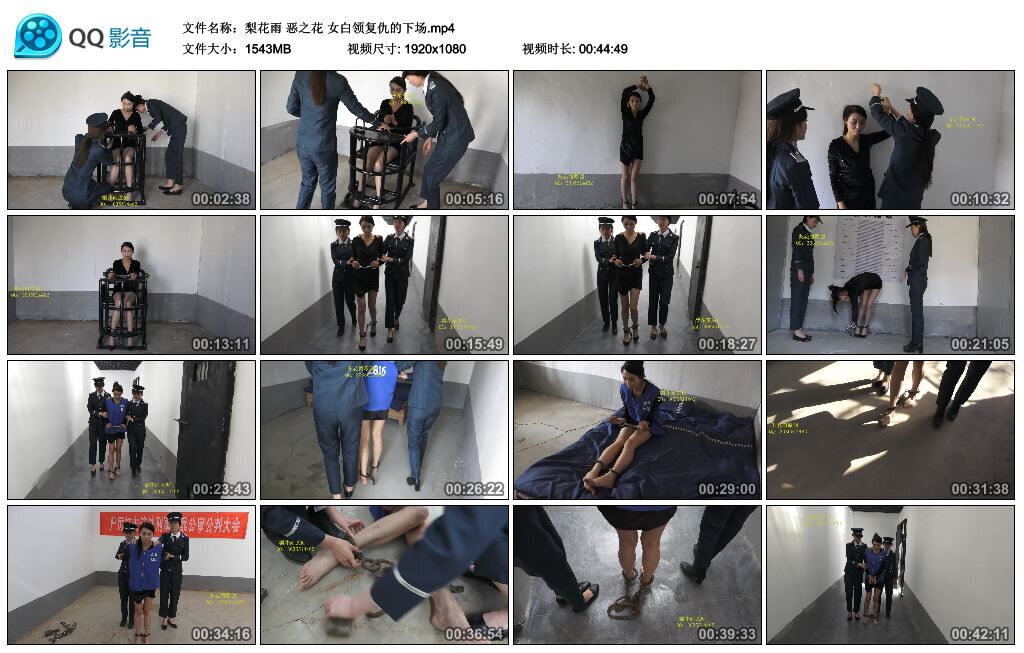 【梨花雨】恶之花-BD绳艺资源