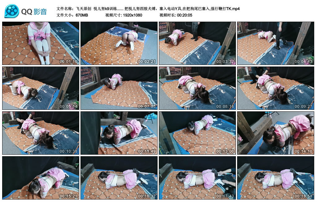 【飞天原创】悦儿努k9训练-BD绳艺资源