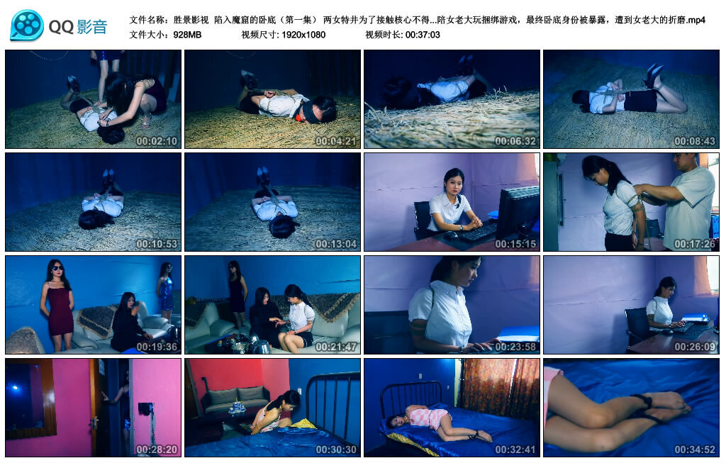 【胜景影视】陷入魔窟的卧底（第一集）-BD绳艺资源