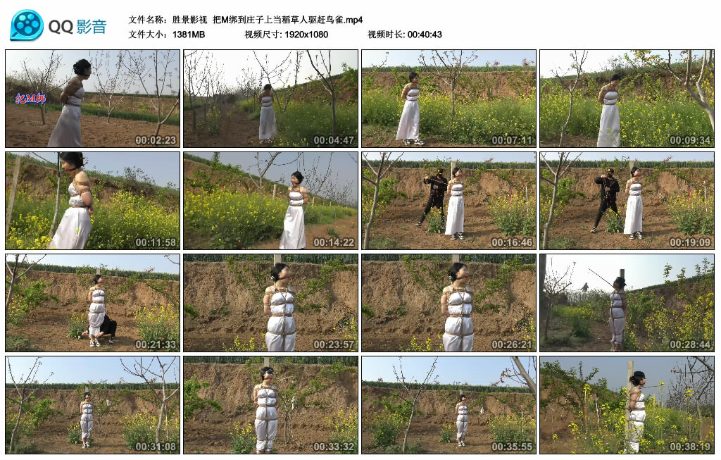 【胜景影视】把M绑到庄子上当稻草人驱赶鸟雀-BD绳艺资源