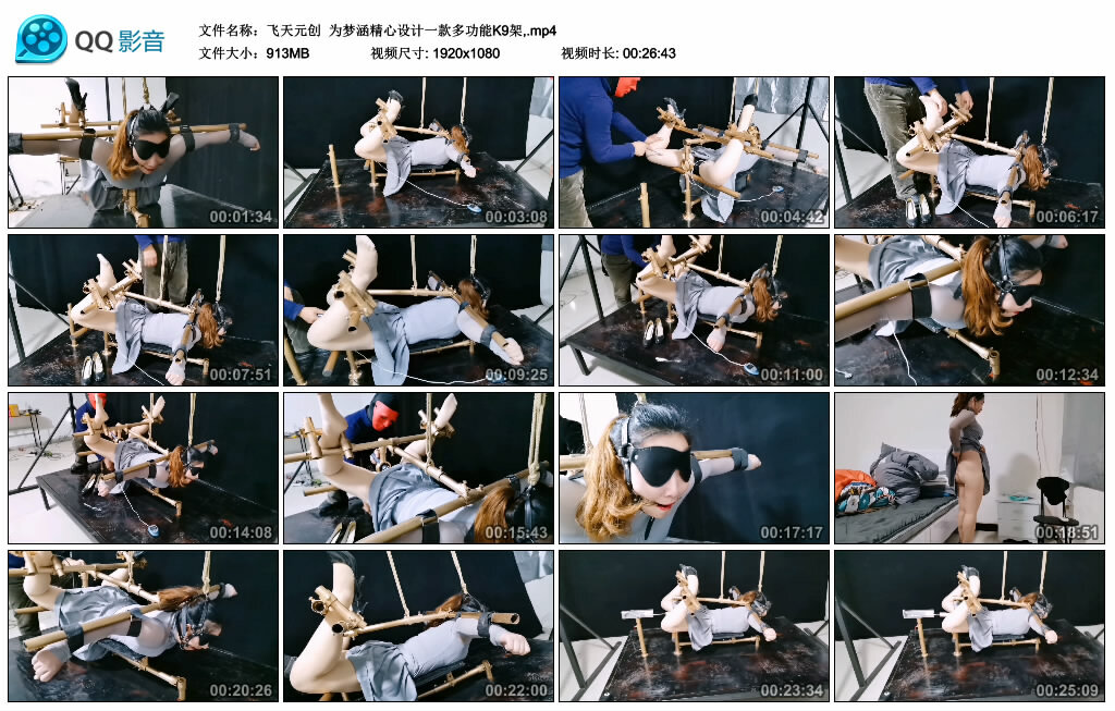 【飞天元创】为梦涵精心设计一款多功能K9架-BD绳艺资源