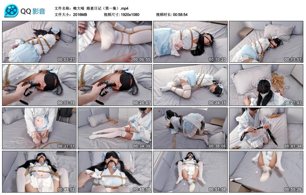 【嗷大喵】路崽日记（第一集）-BD绳艺资源