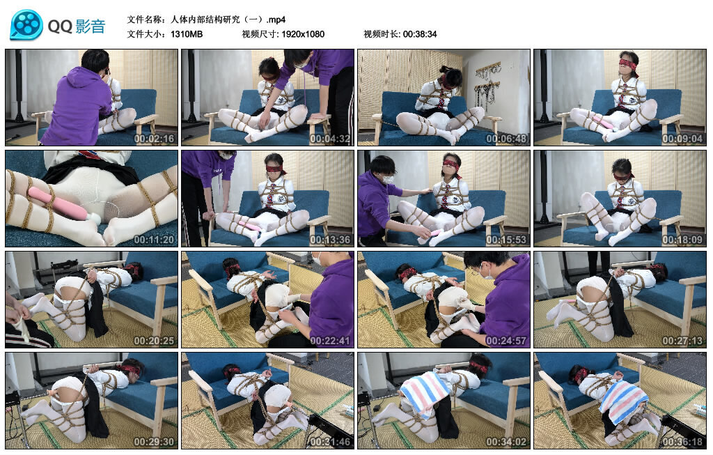 人体内部结构研究（一）-BD绳艺资源