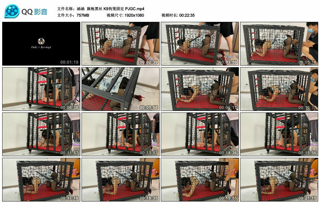 【涵涵】旗袍黑丝K9狗笼固定PJGC-BD绳艺资源