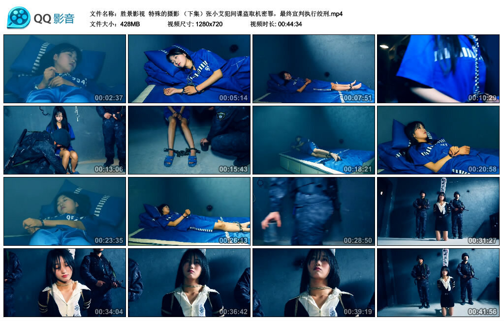 【胜景影视】特殊的摄影（下集）张小艾犯间谍盗取机密罪，最终宣判执行绞刑-BD绳艺资源