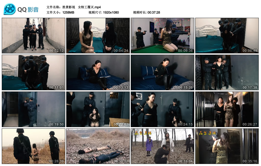 胜景影视女特工覆灭-BD绳艺资源