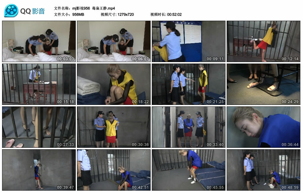 【mj影视】毒枭王静-BD绳艺资源