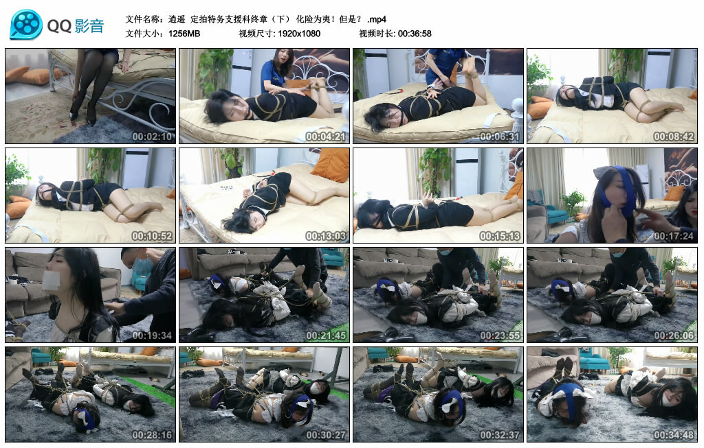 【逍遥】定拍特务支援科终章（下）化险为夷！但是？-BD绳艺资源