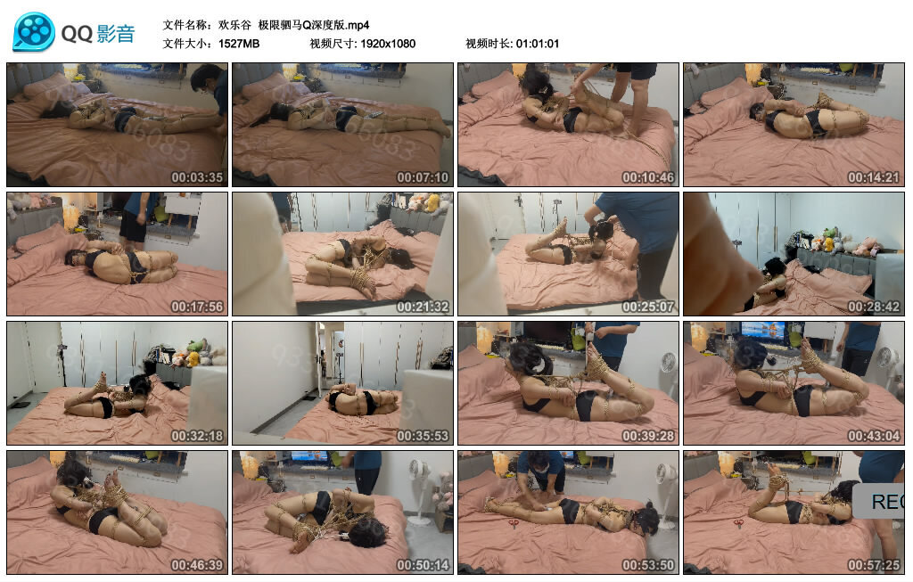 【欢乐谷】极限驷马Q深度版-BD绳艺资源