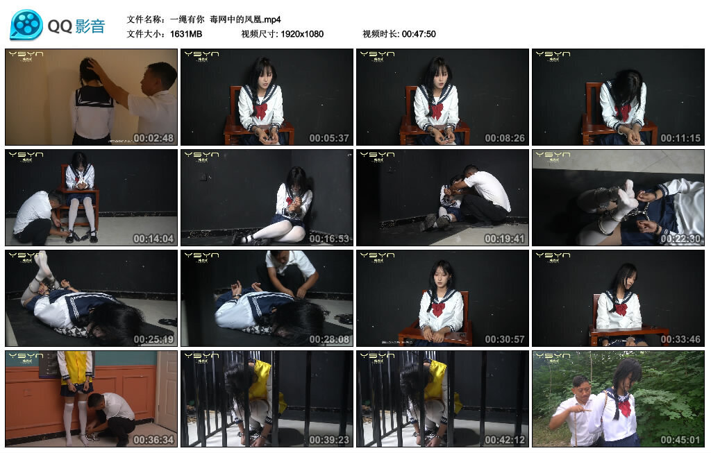 【一绳有你】毒网中的凤凰-BD绳艺资源