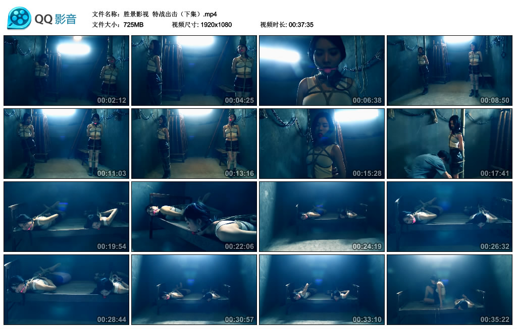 【胜景影视】特战出击（下集）-BD绳艺资源