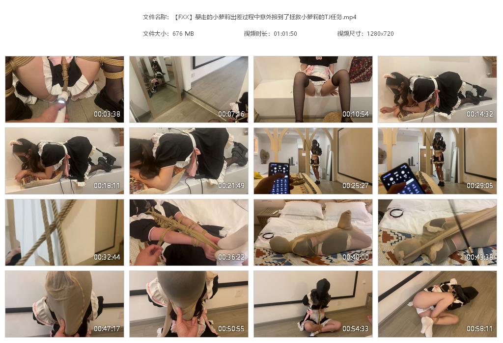 【FXX】暴走的小萝莉出差过程中意外接到了拯救小萝莉的TJ任务-BD绳艺资源