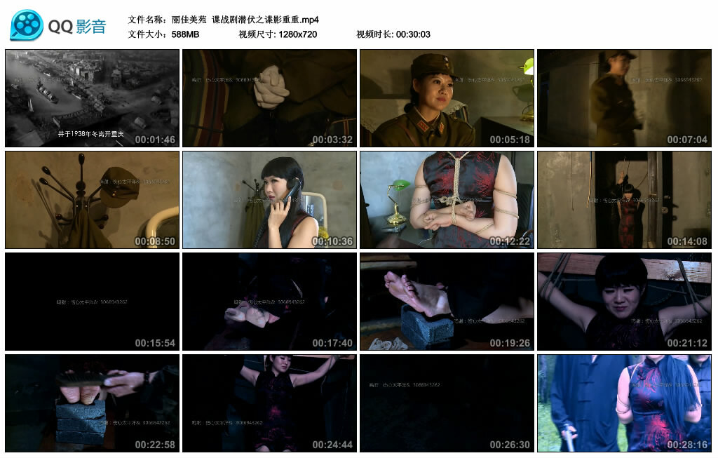 【丽佳美苑】谍战剧潜伏之谍影重重-BD绳艺资源