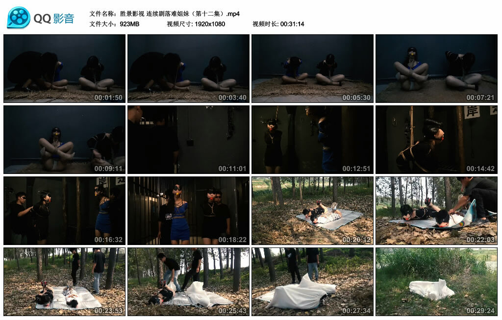 【胜景影视】连续剧落难姐妹（第十二集）-BD绳艺资源