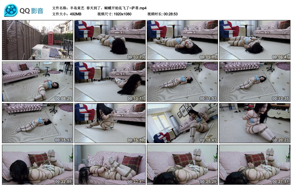 【半岛束艺】 春天到了,蝴蝶开始乱飞了~萨蒂-BD绳艺资源