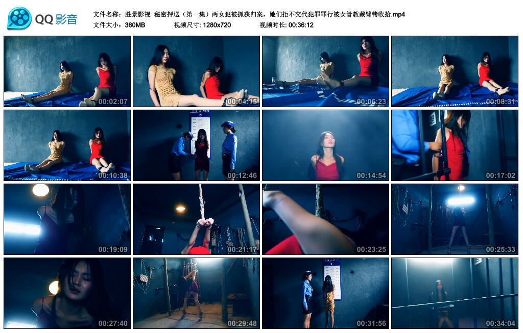 【胜景影视】秘密押送（第一集）-BD绳艺资源