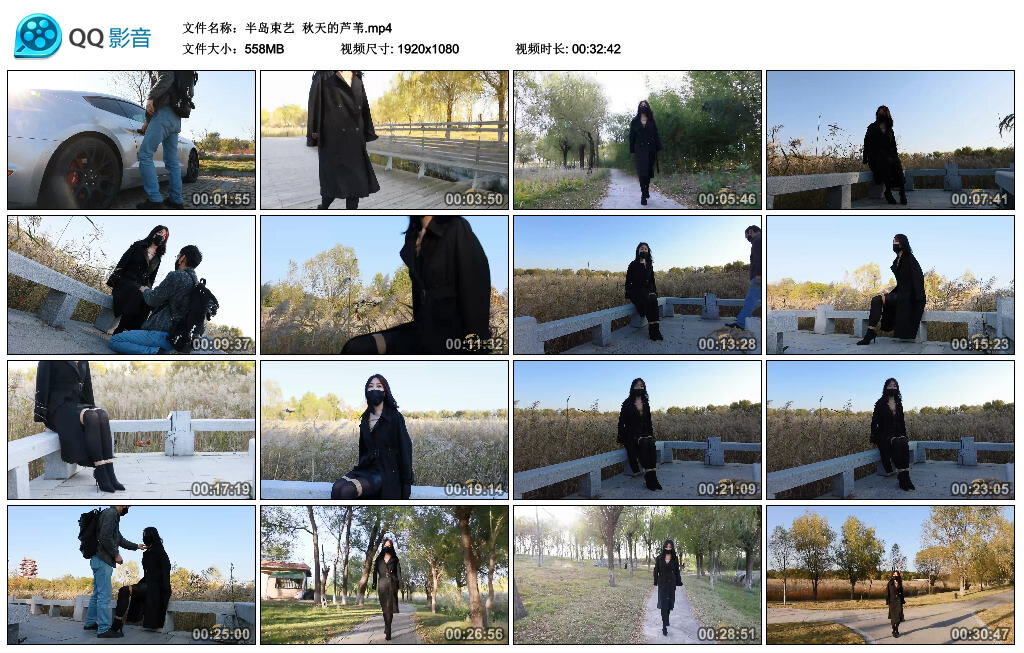 【半岛束艺】秋天的芦苇-BD绳艺资源