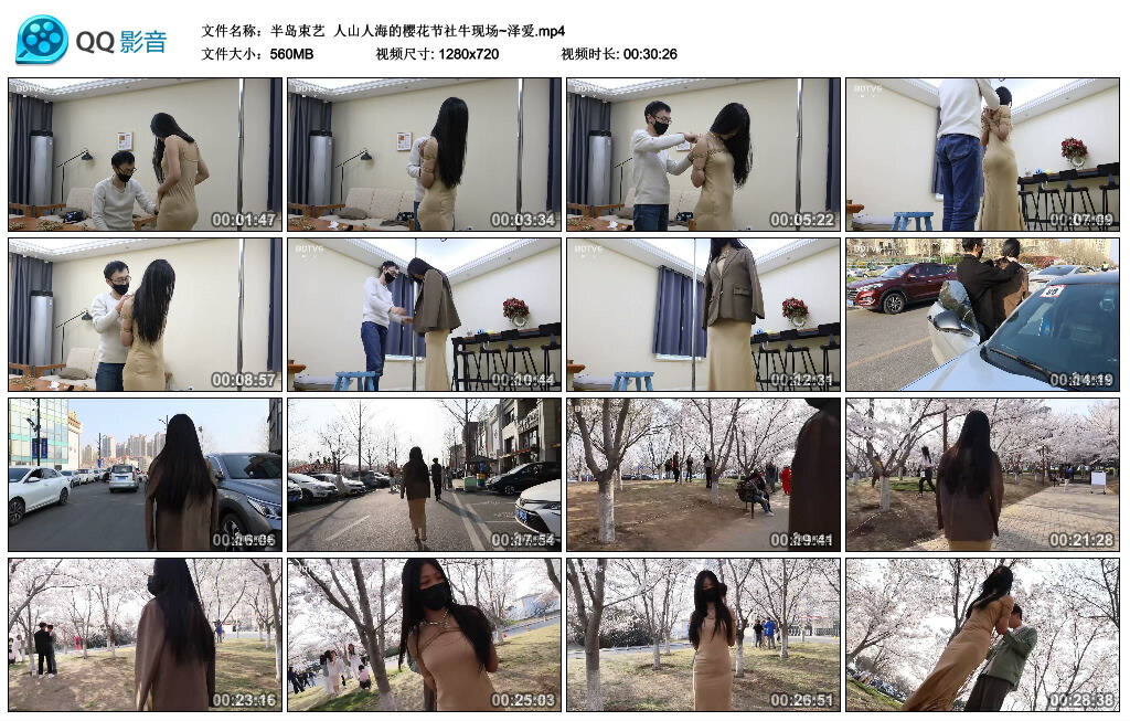 【半岛束艺】人山人海的樱花节社牛现场~泽爱-BD绳艺资源