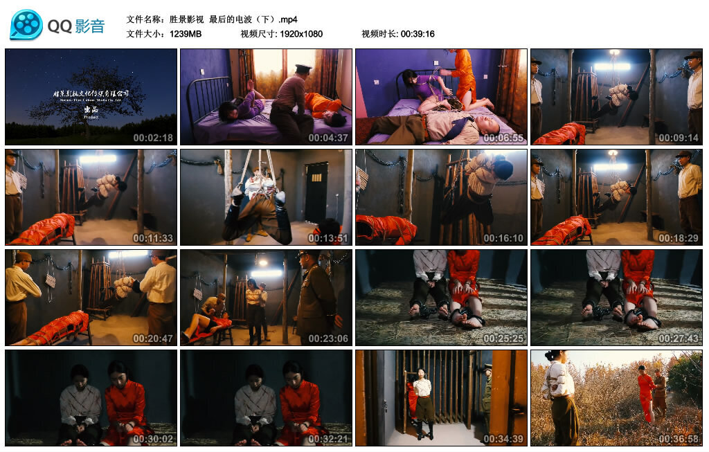 【胜景影视】最后的电波（下）-BD绳艺资源