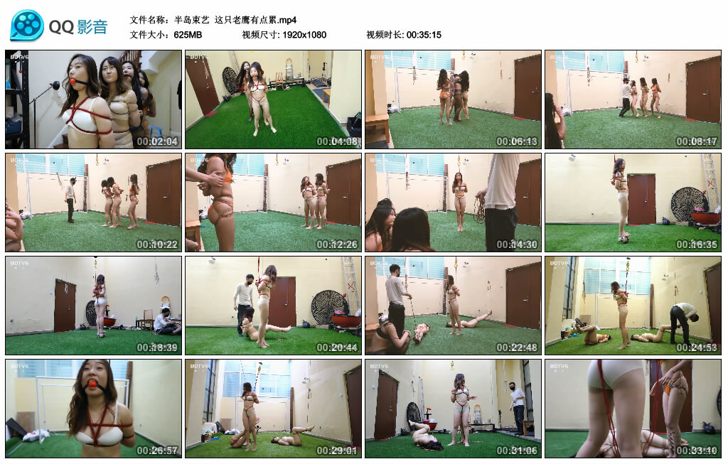 【半岛束艺】这只老鹰有点累-BD绳艺资源