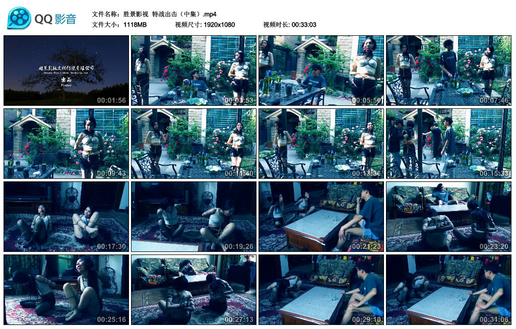 【胜景影视】特战出击（中集）-BD绳艺资源