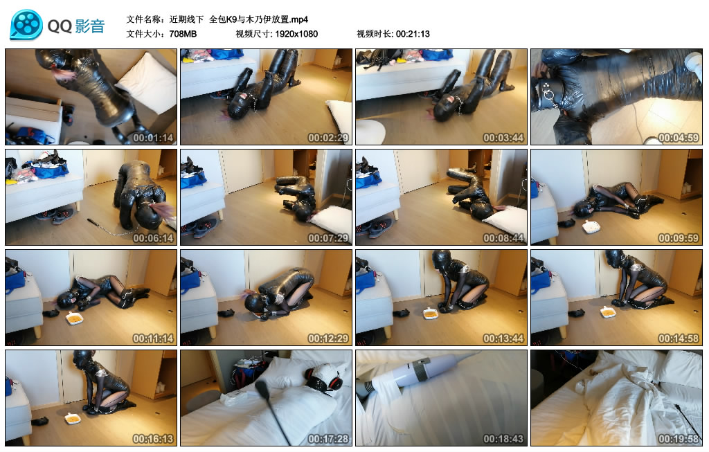 近期线下全包K9与木乃伊放置-BD绳艺资源