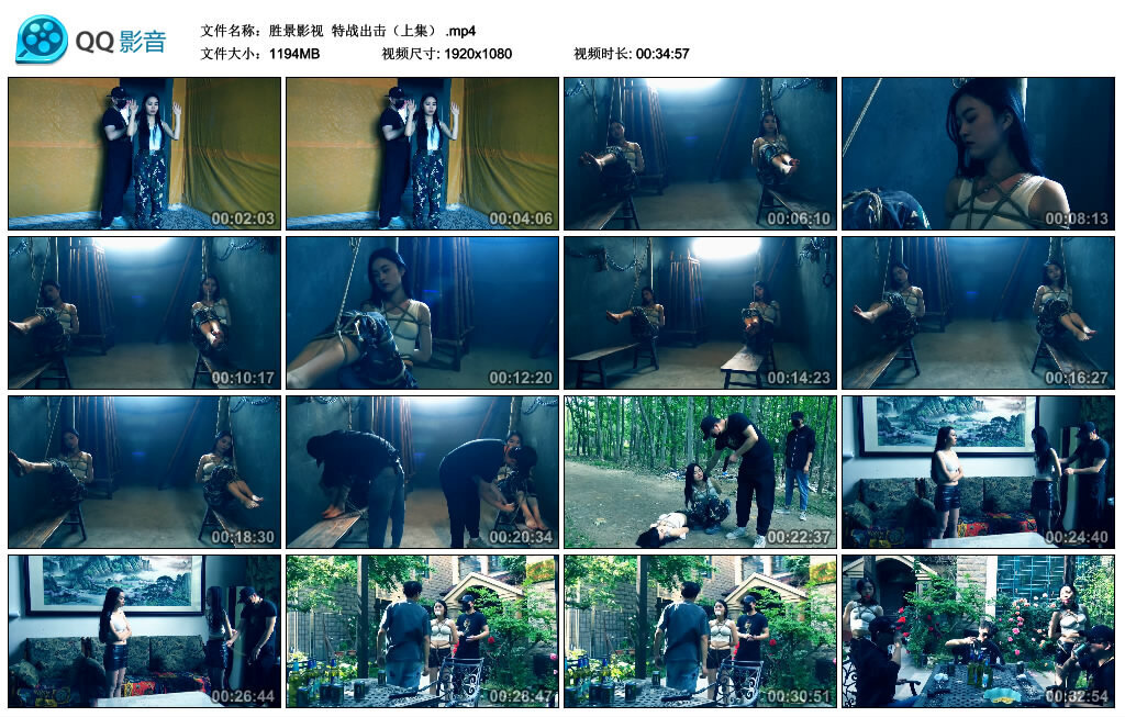 【胜景影视】特战出击（上集）-BD绳艺资源