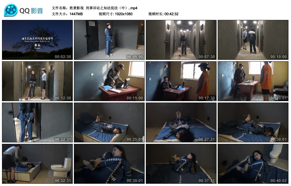 【胜景影视】刑事诉讼之知法犯法（中）-BD绳艺资源