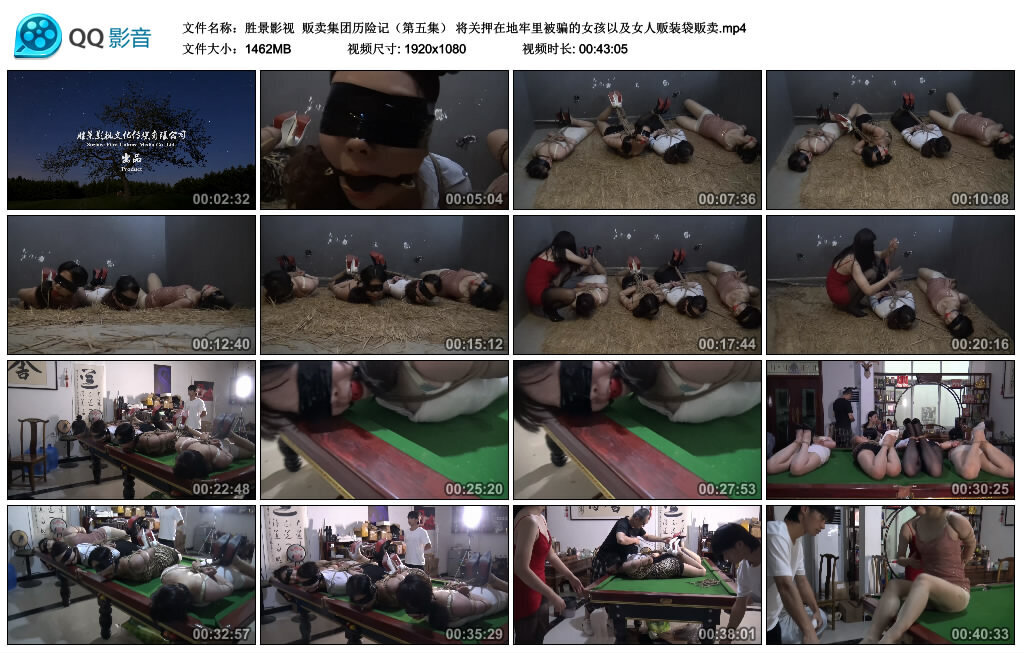 【胜景影视】贩卖集团历险记（第五集）-BD绳艺资源