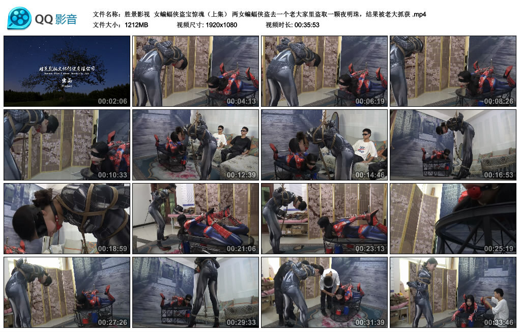 【胜景影视】女蝙蝠侠盗宝惊魂（上集）-BD绳艺资源