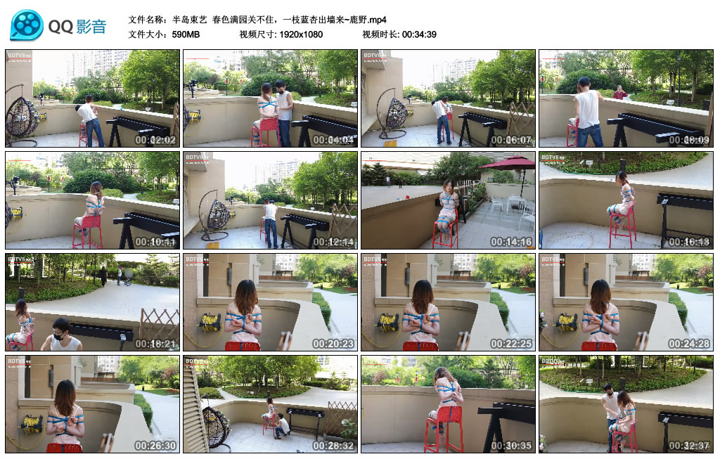 [半岛束艺]半岛束艺春色满园关不住，一枝蓝杏出墙来~鹿野-BD绳艺资源