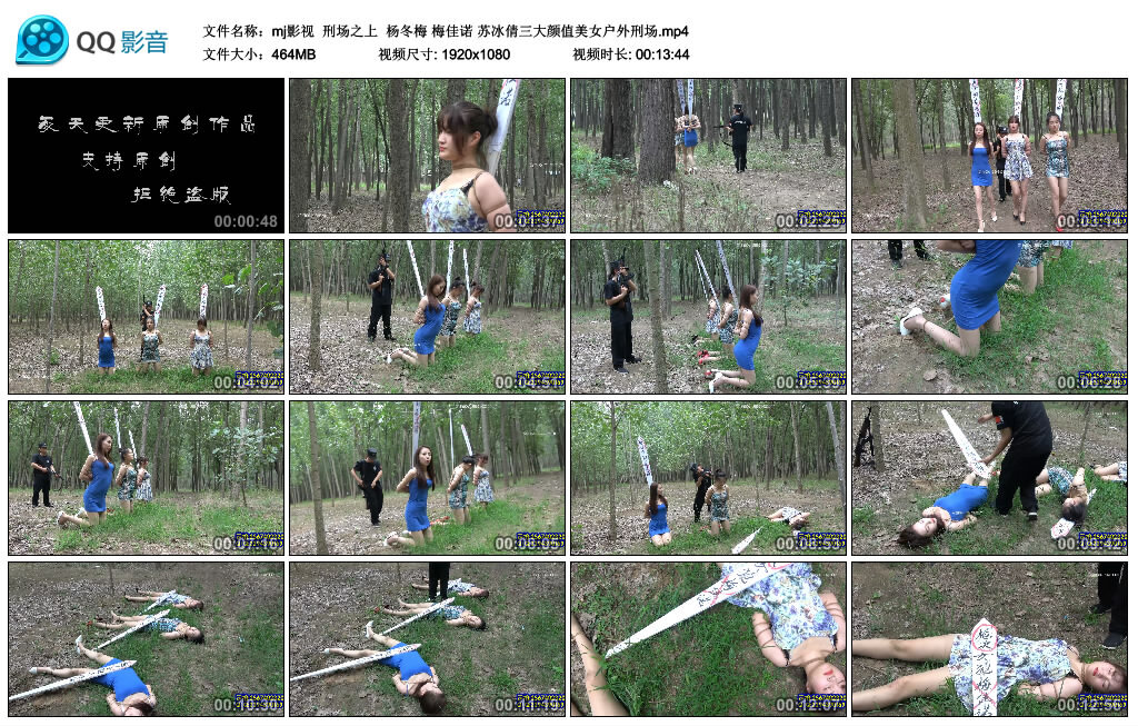 【mj影视】刑场之上-BD绳艺资源