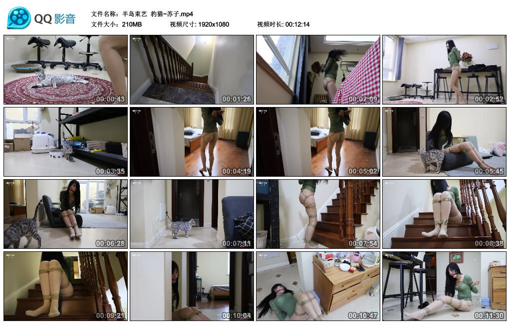 【半岛束艺】豹猫~苏子-BD绳艺资源