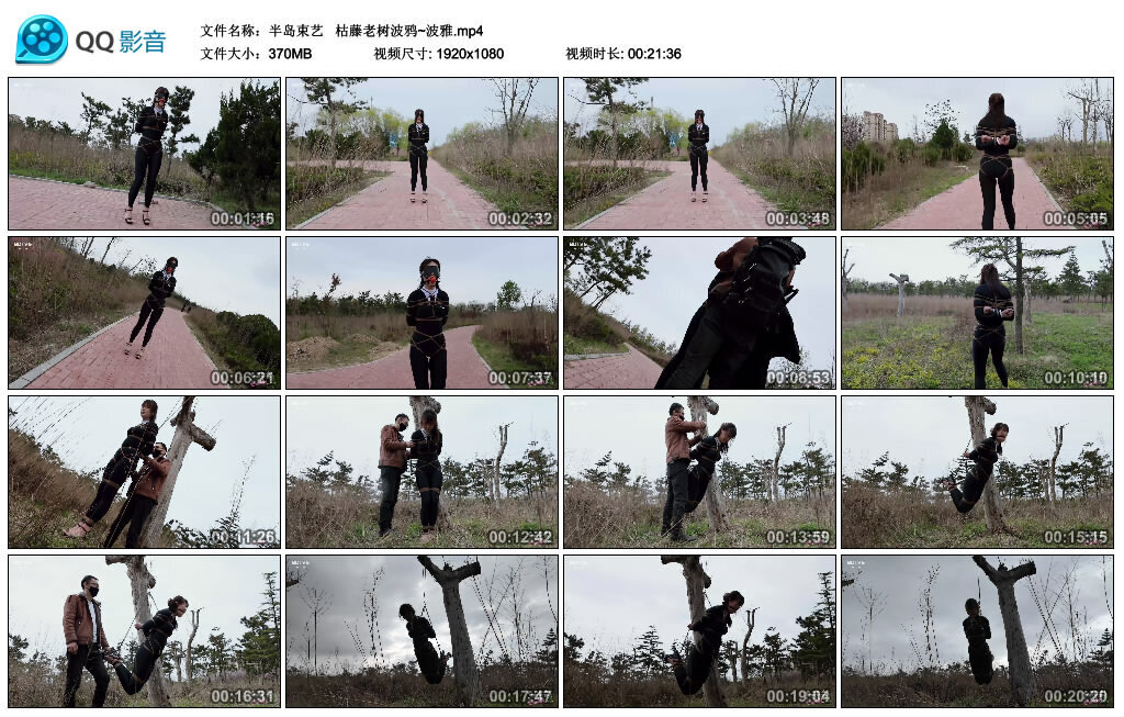 【半岛束艺】枯藤老树波鸦~波雅-BD绳艺资源