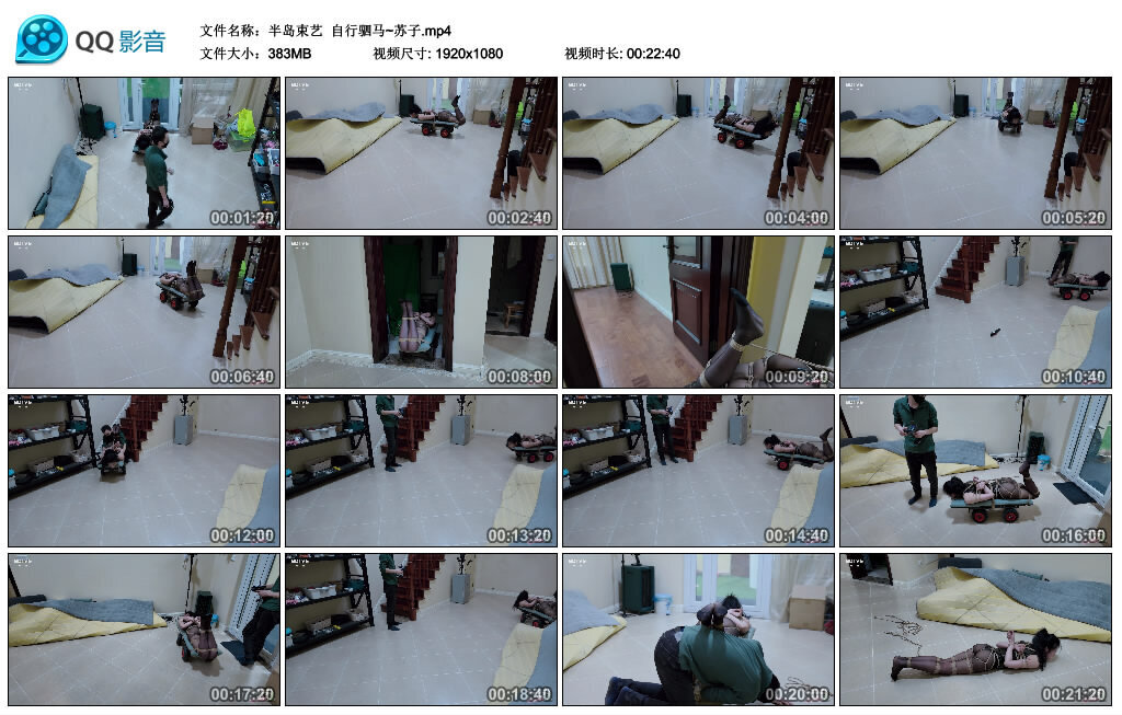 【半岛束艺】自行驷马~苏子-BD绳艺资源