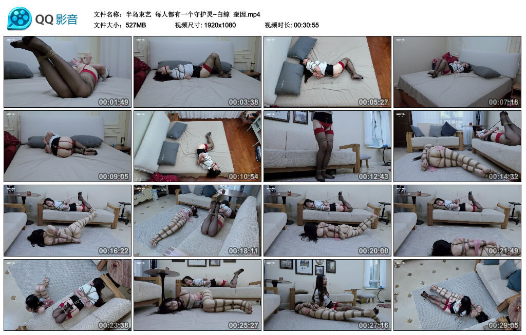 【半岛束艺】每人都有一个守护灵~白鲸奎因-BD绳艺资源