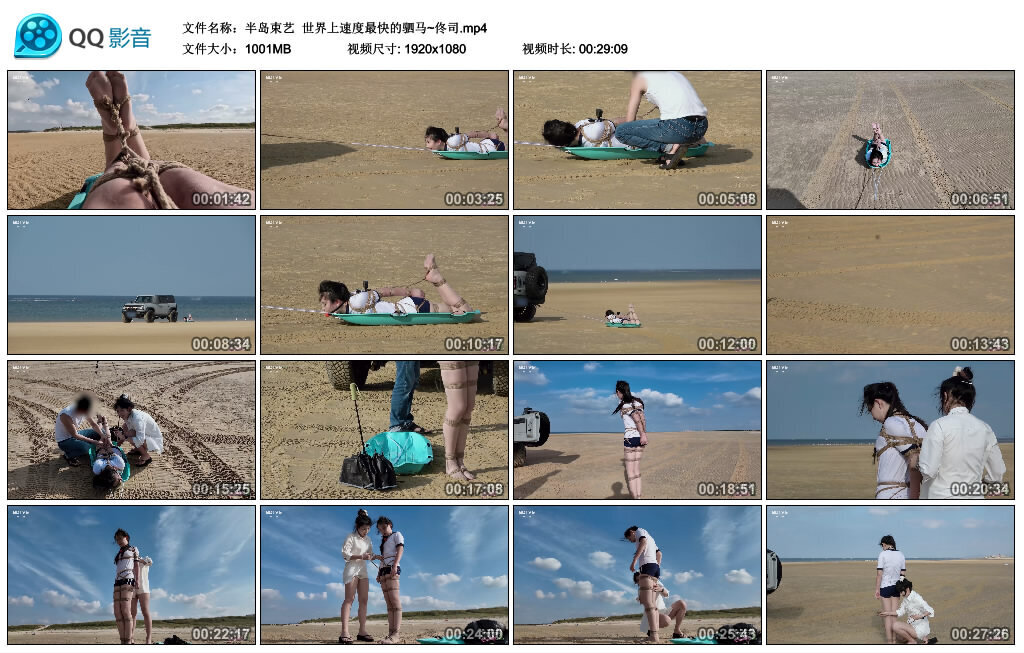 【半岛束艺】世界上速度最快的驷马~佟司-BD绳艺资源