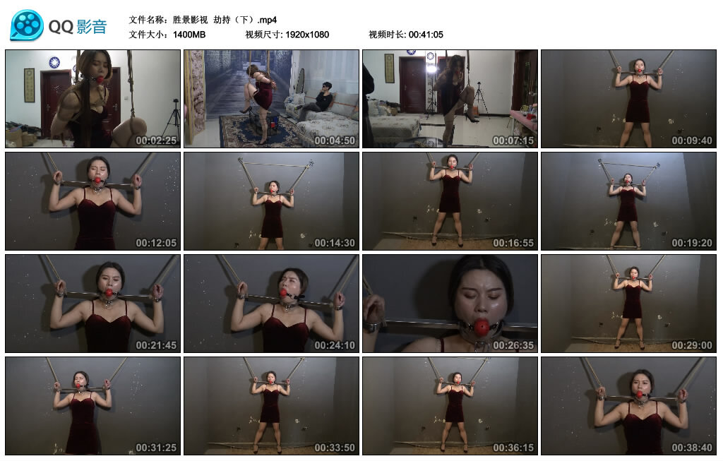 【胜景影视】劫持（下）-BD绳艺资源