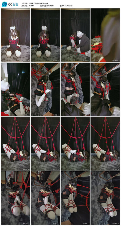 芝士的郊狼驷马~-BD绳艺资源