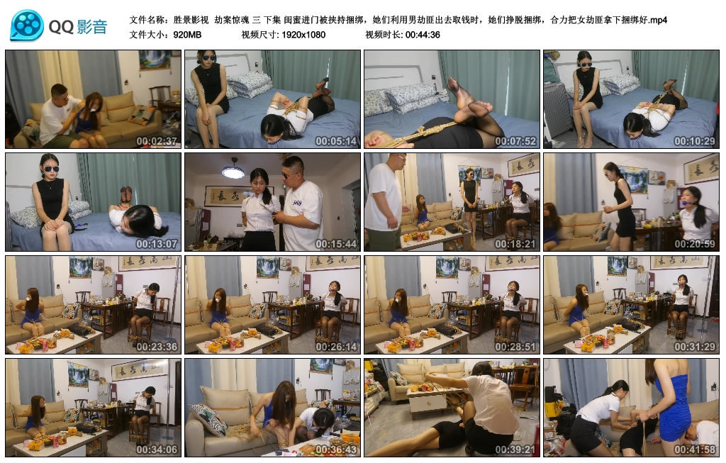 【胜景影视】 劫案惊魂 三 下集-BD绳艺资源