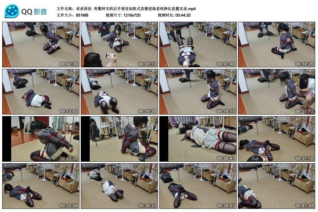 【求求原创】 秃鹫阿宅的后手观音加欧式直臂逆海老纯挣扎放置实录-BD绳艺资源