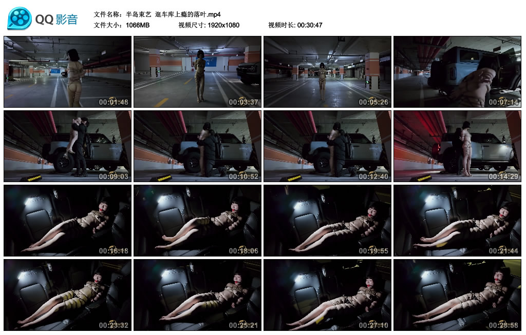 【半岛束艺】 逛车库上瘾的落叶-BD绳艺资源
