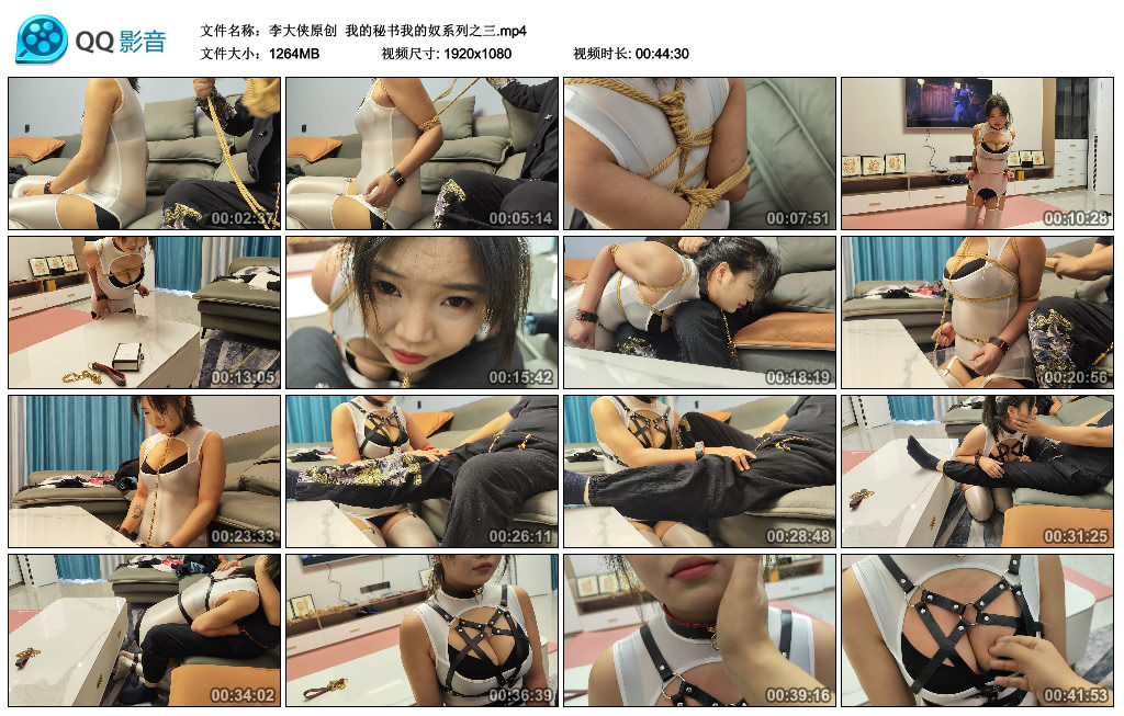 【李大侠原创】 我的秘书我的奴系列之三-BD绳艺资源